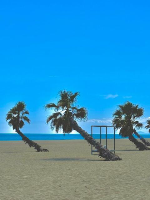 Appartement 4 Personnes Piscine 300 Plage 4Pb287 Le Barcares Bagian luar foto